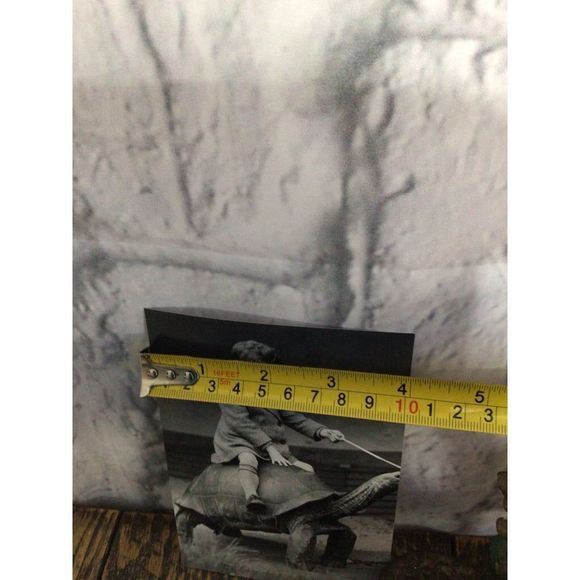 Reprint Photo Odd Bizzare Boy Riding Turtle Reprint Vintage - Picture 4 of 10